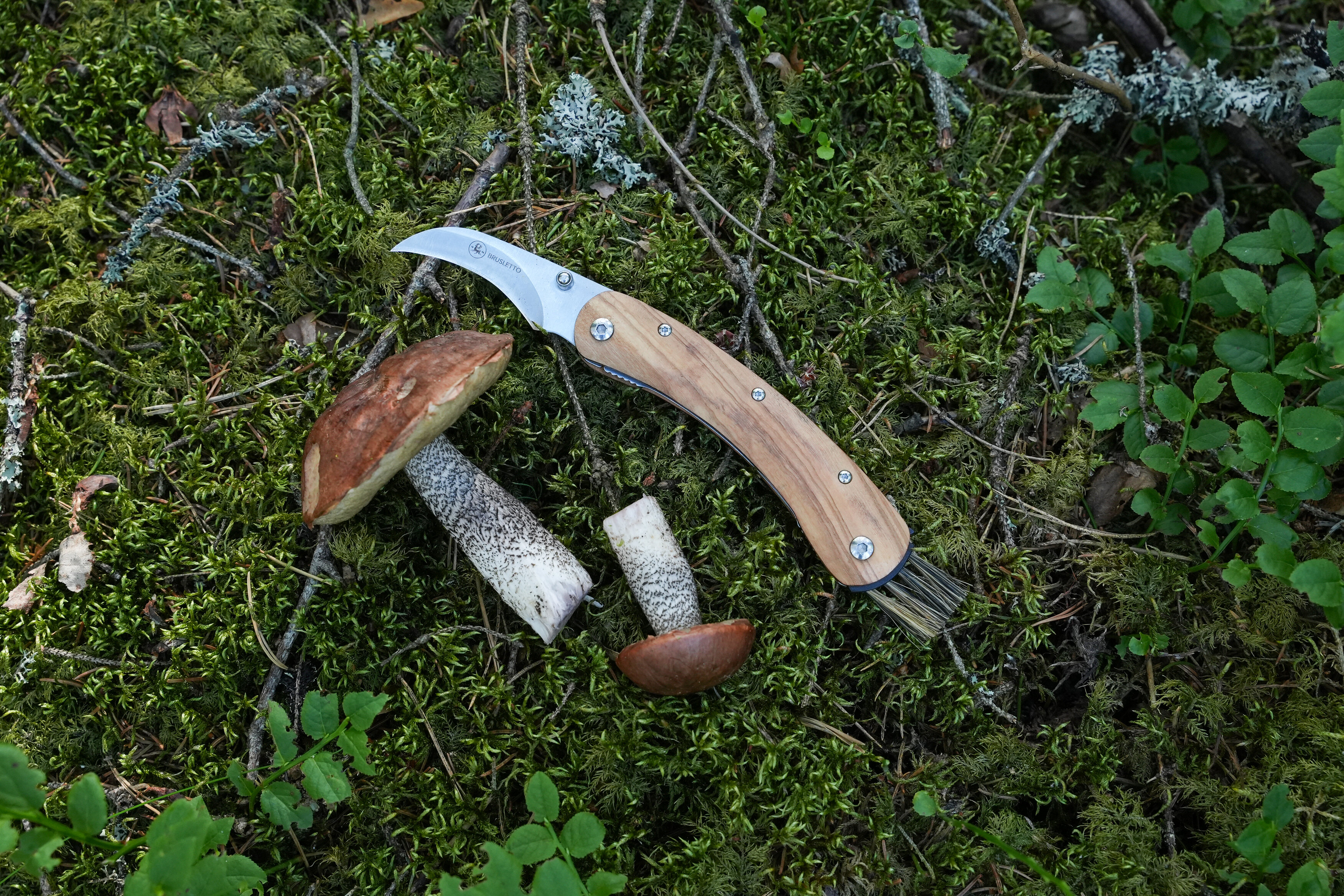 https://www.bruslettoshop.de/pub_docs/files/DSC03864.JPG